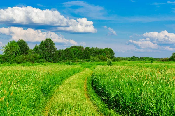 Onverharde weg in het veld — Stockfoto