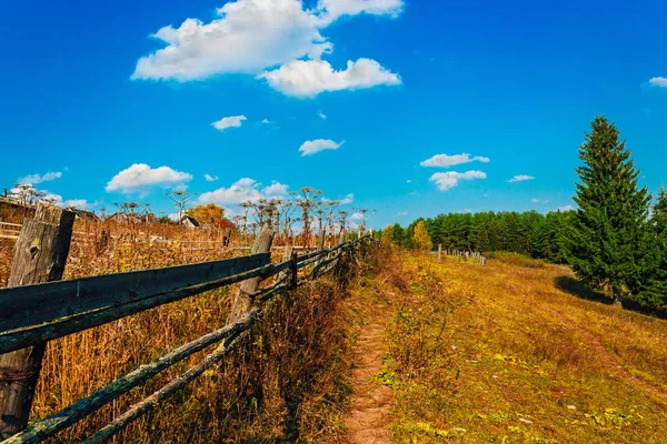 Campo e floresta em um dia ensolarado de outono — Fotografia de Stock