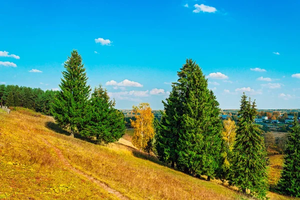 Krajiny a lesa na slunné podzimní den — Stock fotografie