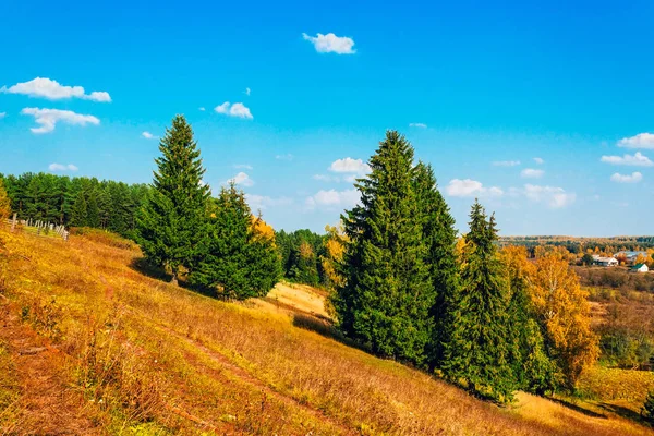Krajiny a lesa na slunné podzimní den — Stock fotografie