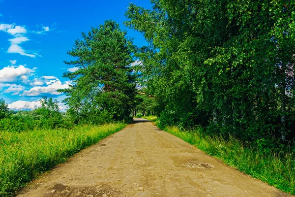 Грязная дорога в лесу в солнечный летний день — стоковое фото