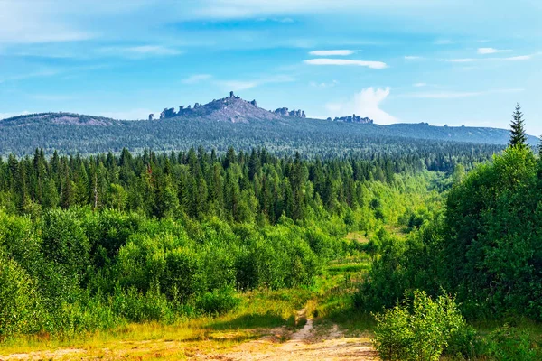 Iğne yapraklı orman ve dağ Urallarda — Stok fotoğraf