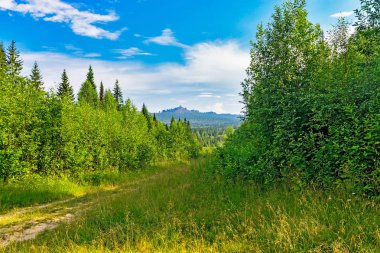 Orman ve dağ Urallarda patika