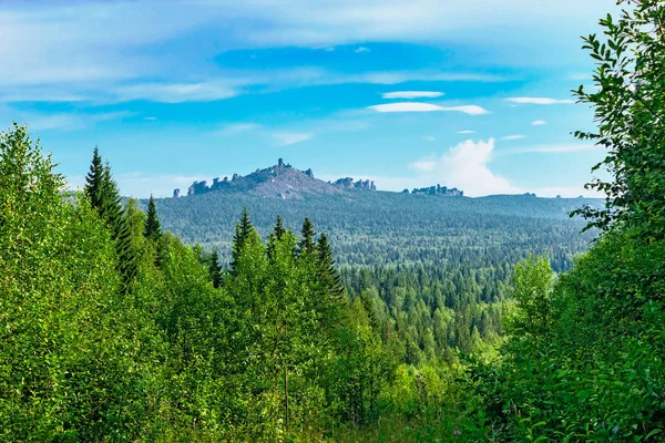 针叶林和山在农村 — 图库照片