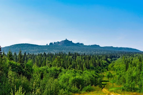 Хвойний ліс і гора в Уралі — стокове фото