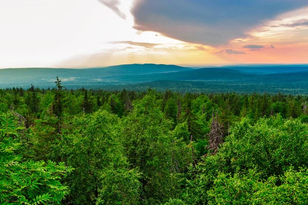 Vista dalle alte montagne alla taiga — Foto Stock