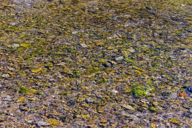 Temiz bir derenin dibinde çakıl taşları