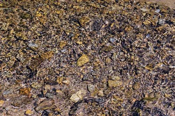 Pebbles at the bottom of a clear stream — Stock Photo, Image