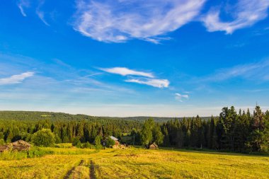 Ormanın yakınındaki bir çayırda ahşap bir ev.