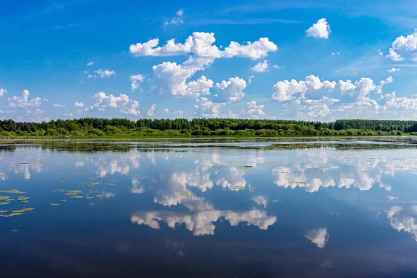 Paisagem do lago de pântano no dia de verão — Fotografia de Stock