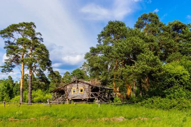 yaz gününde çam ormanında ahşap kabin