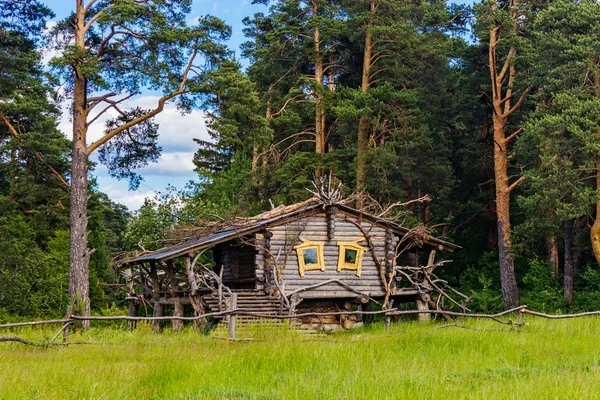 Cabana de madeira em uma floresta de pinheiros em um dia de verão — Fotografia de Stock