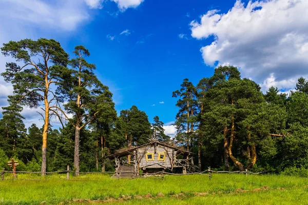 Cabaña de madera en un bosque de pinos en un día de verano — Foto de Stock