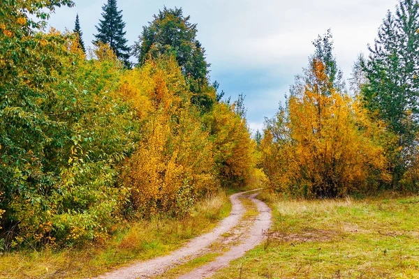 Camino de tierra en el campo en un día de otoño —  Fotos de Stock