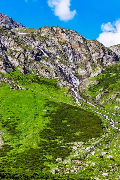 Bach fließt die Seite eines Berges hinunter — Stockfoto