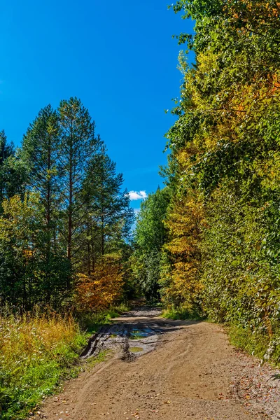 Paysage rural avec un sentier dans la forêt d'automne — Photo