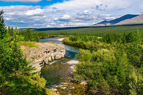 Rio de montanha que flui entre as rochas em uma área de floresta — Fotografia de Stock
