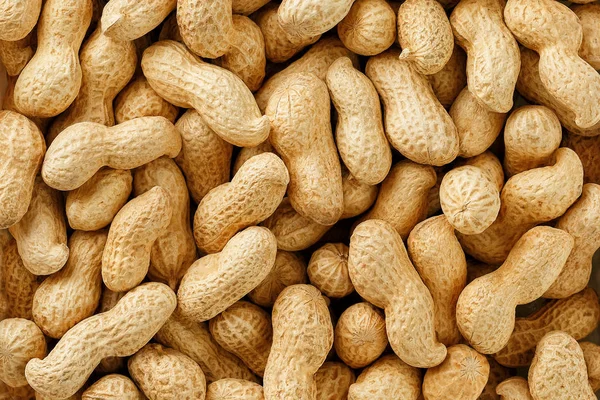 Uncleaned inshell peanuts. Macro Organic Peanuts, Beans.