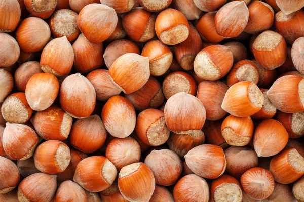 Dried unshelled hazelnuts seeds of Whole nuts as background. Hazelnuts. Stack of hazelnuts. Food background. Hazelnut background. Hazelnuts in shells background