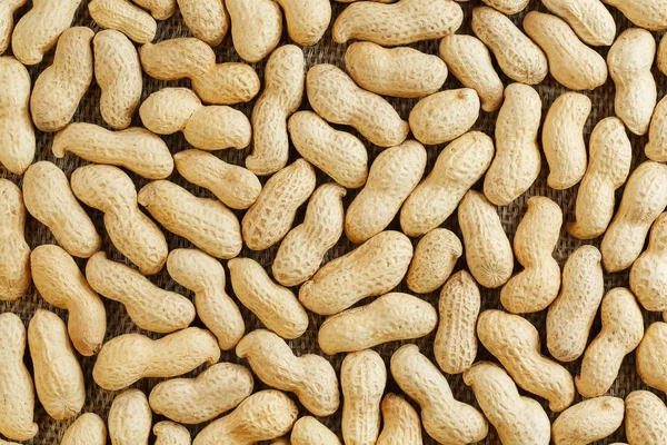 Peanuts in their food texture background. Golden shell roasted peanuts. Organic Vegan Protein Source.