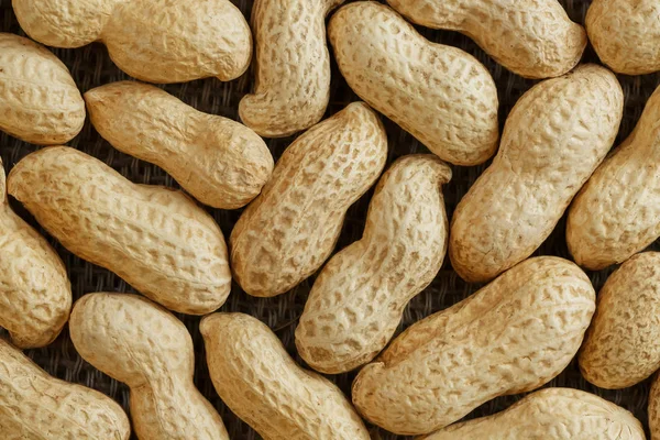 Peanuts in their food texture background. Golden shell roasted peanuts. Organic Vegan Protein Source.