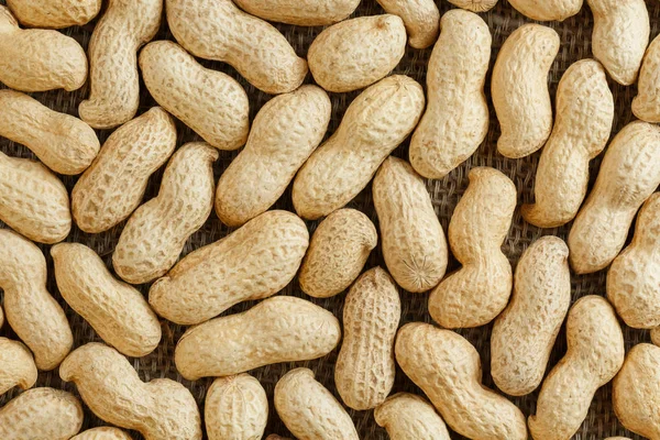 Peanuts in their food texture background. Golden shell roasted peanuts. Organic Vegan Protein Source.