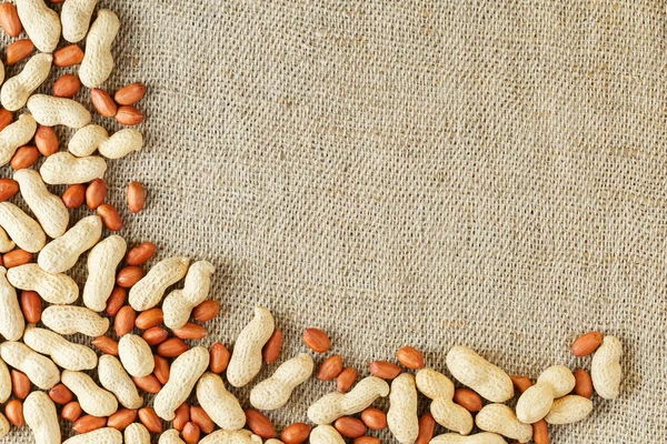 Roasted peanuts in a shell and peeled on a brown fabric background.