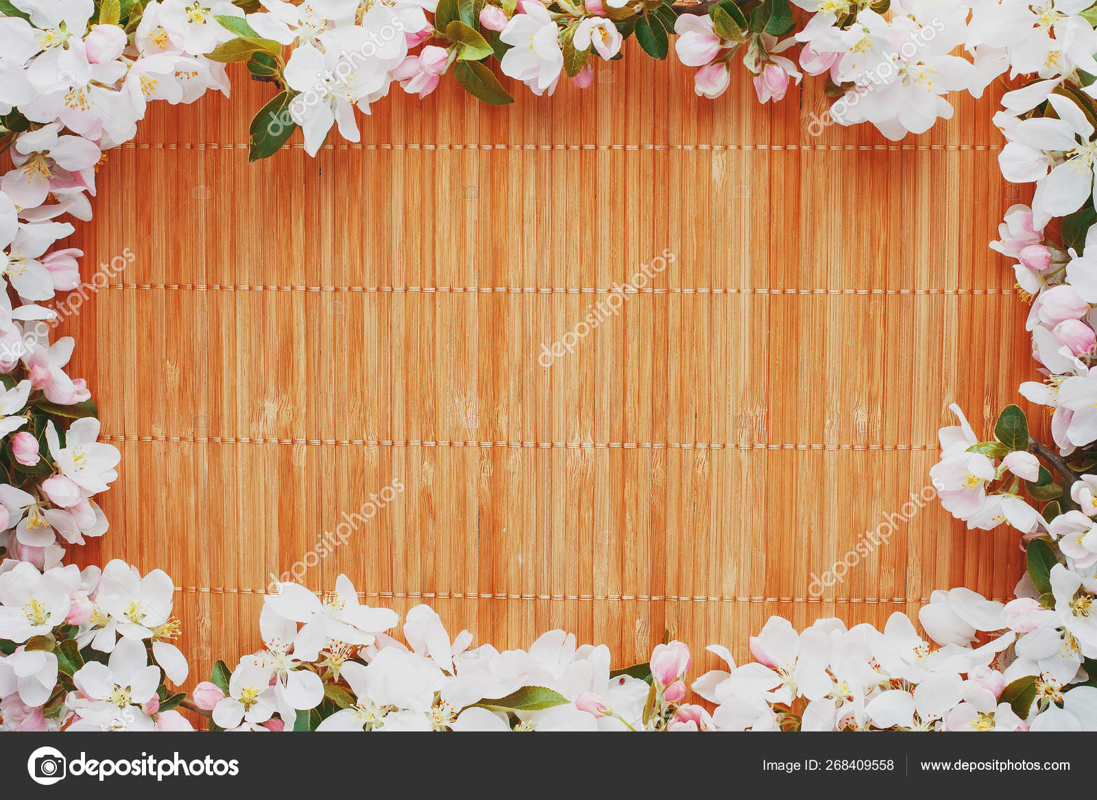 Frame of spring flowers of sakura on bamboo background. Beautiful