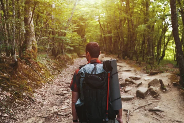 A traveler with a backpack in the spring forest on the path looks ahead. Sunlight through the crowns of trees.