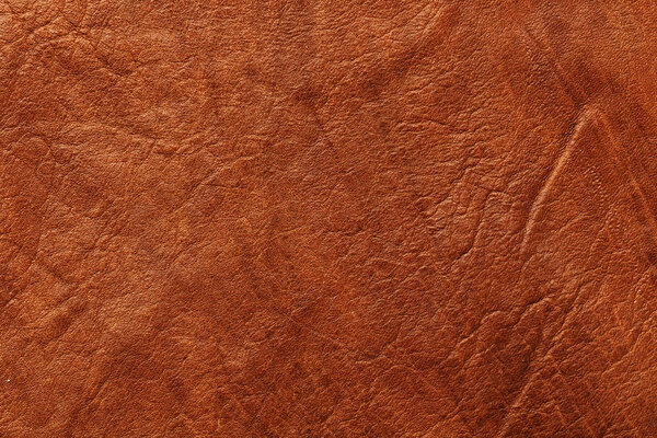 Brown Textured Leather Closeup. Full frame, close up