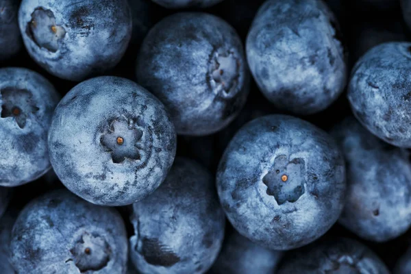 Blueberries in the form of a full-screen texture. The view from the top