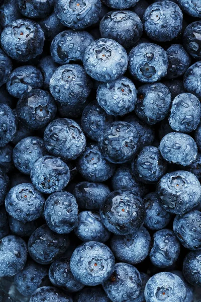 Juicy blueberries in the form of a full-screen texture. The view from the top