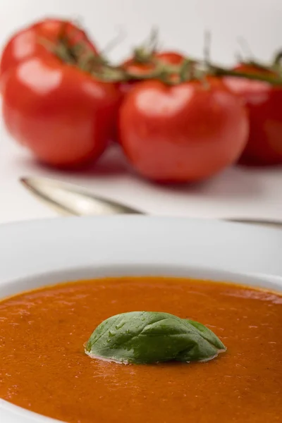 Färsk Tomatsoppa Skål — Stockfoto