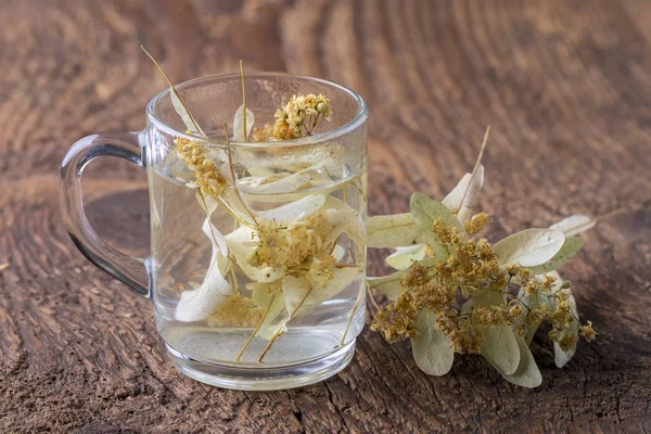 Herbata Kwiatów Lipy Drewnie — Zdjęcie stockowe