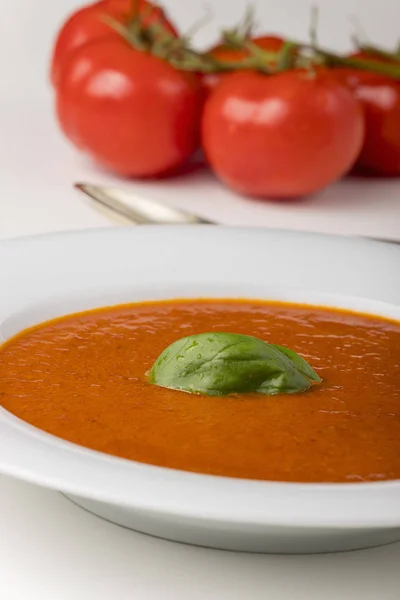 Sopa Tomate Fresco Tazón — Foto de Stock