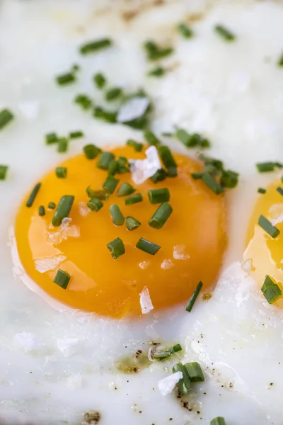 Closeup Eggs Bedeict — Stock Photo, Image
