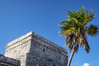 Tulum Meksika 'da Maya harabeleri 