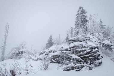 Kışın karla kaplı ağaçlar ve kayalar 