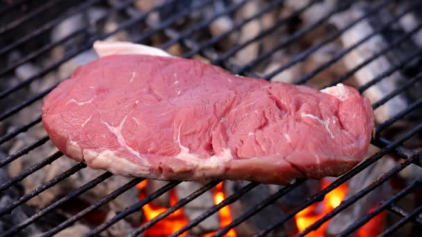 Memanggang Steak Atas Bbq — Stok Video