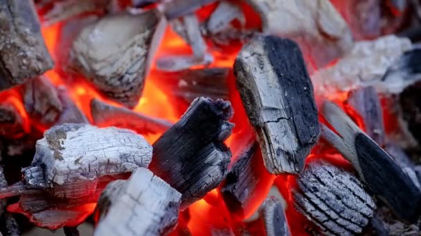 Closeup Burning Charcoal — Stock Video