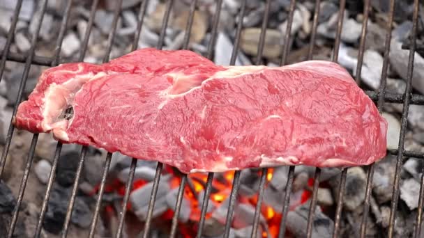 Grilling Steak Bbq — Stock Video