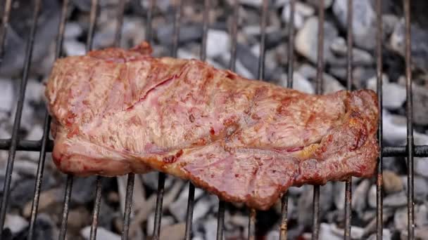 Grilling Steak Bbq — Stock Video