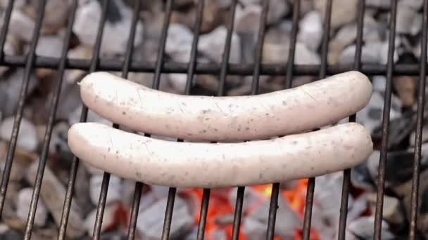 Grilling Sausages Bbq — Stock Video