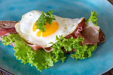 Yumurta güneşli tarafı ekmeğin üstünde