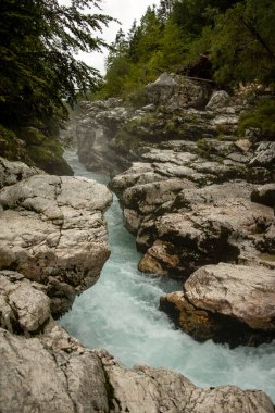 Soca Nehri yazın Slovenia 'da