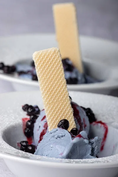 Closeup Blueberry Ice Cream Plates — Stock Photo, Image