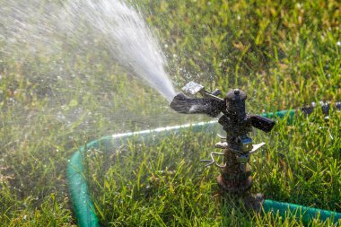 güzel ve yeşil tutmak için çim sulama