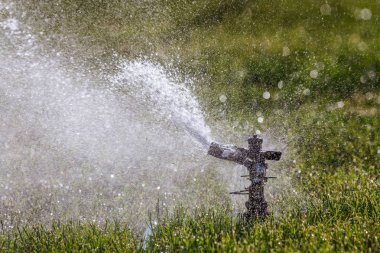 büyümesini sağlamak için fıskiyelerle çimleri sulama