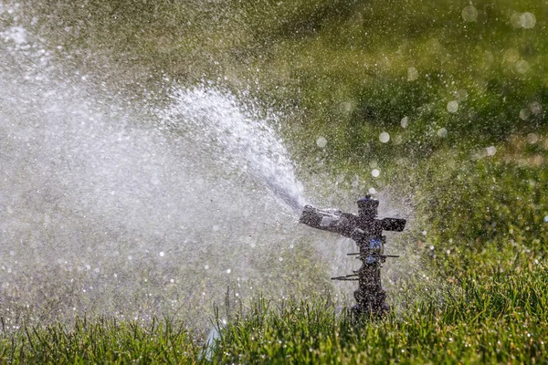 Het Gras Besproeien Met Sprinklers Het Laten Groeien — Stockfoto