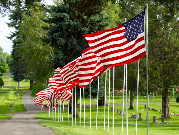 Banderas renunciando en una buena fila en un cementerio — Foto de Stock